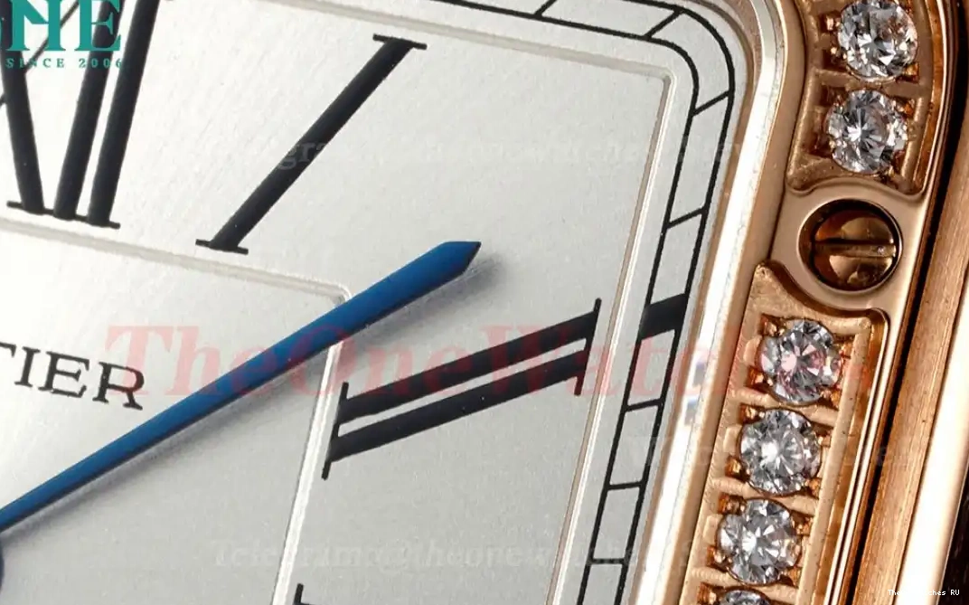 Grey LE Dial Santos AF Dumont Silver Dia RG Quartz 0615
